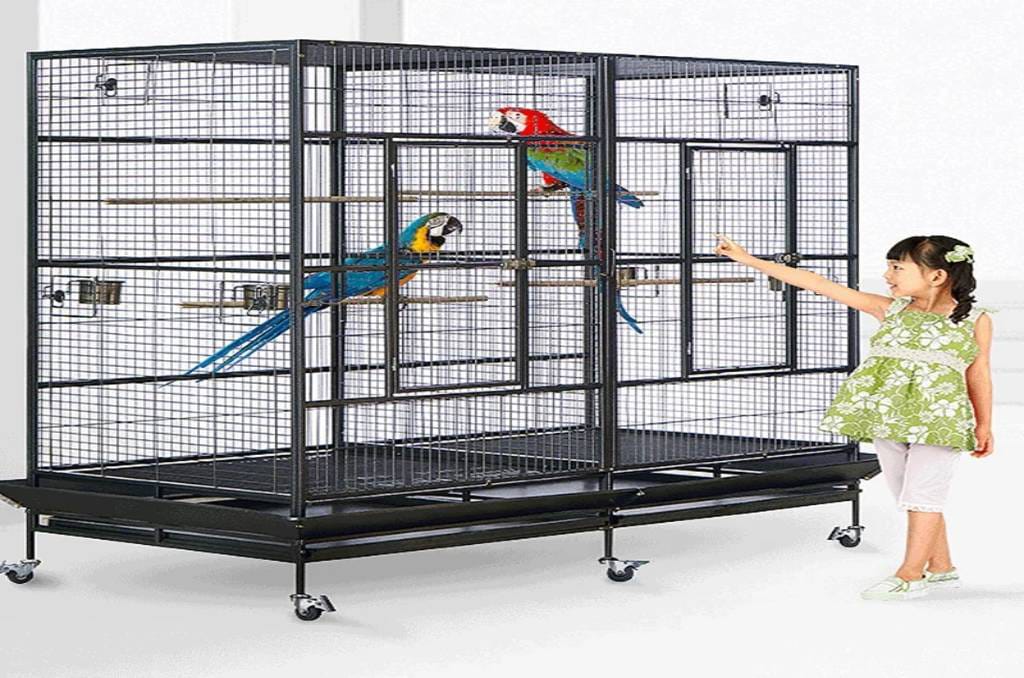 Buy Bird Cage for Parrot: The Ultimate Guide to Choosing the Perfect Cage
