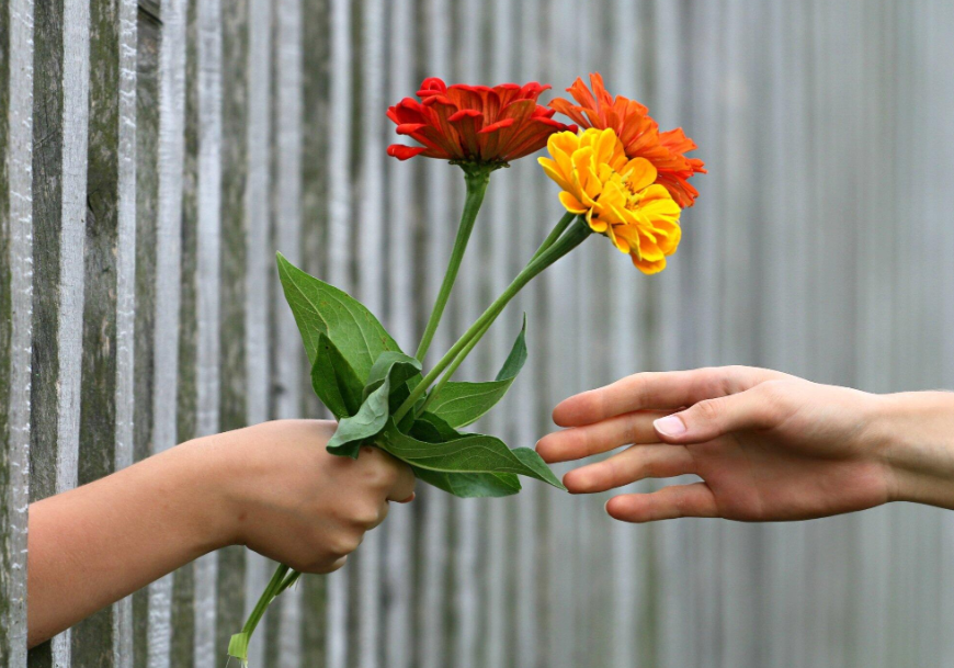 Language of Flowers